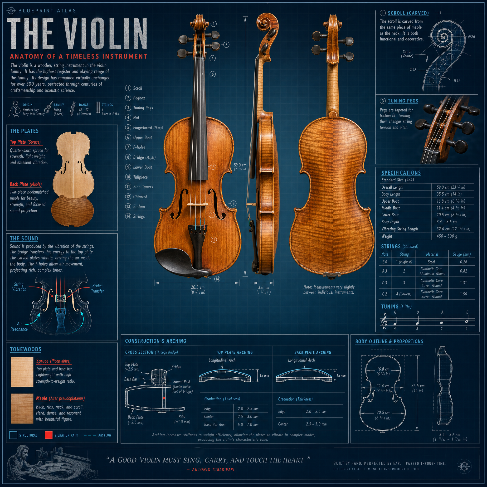 Violin