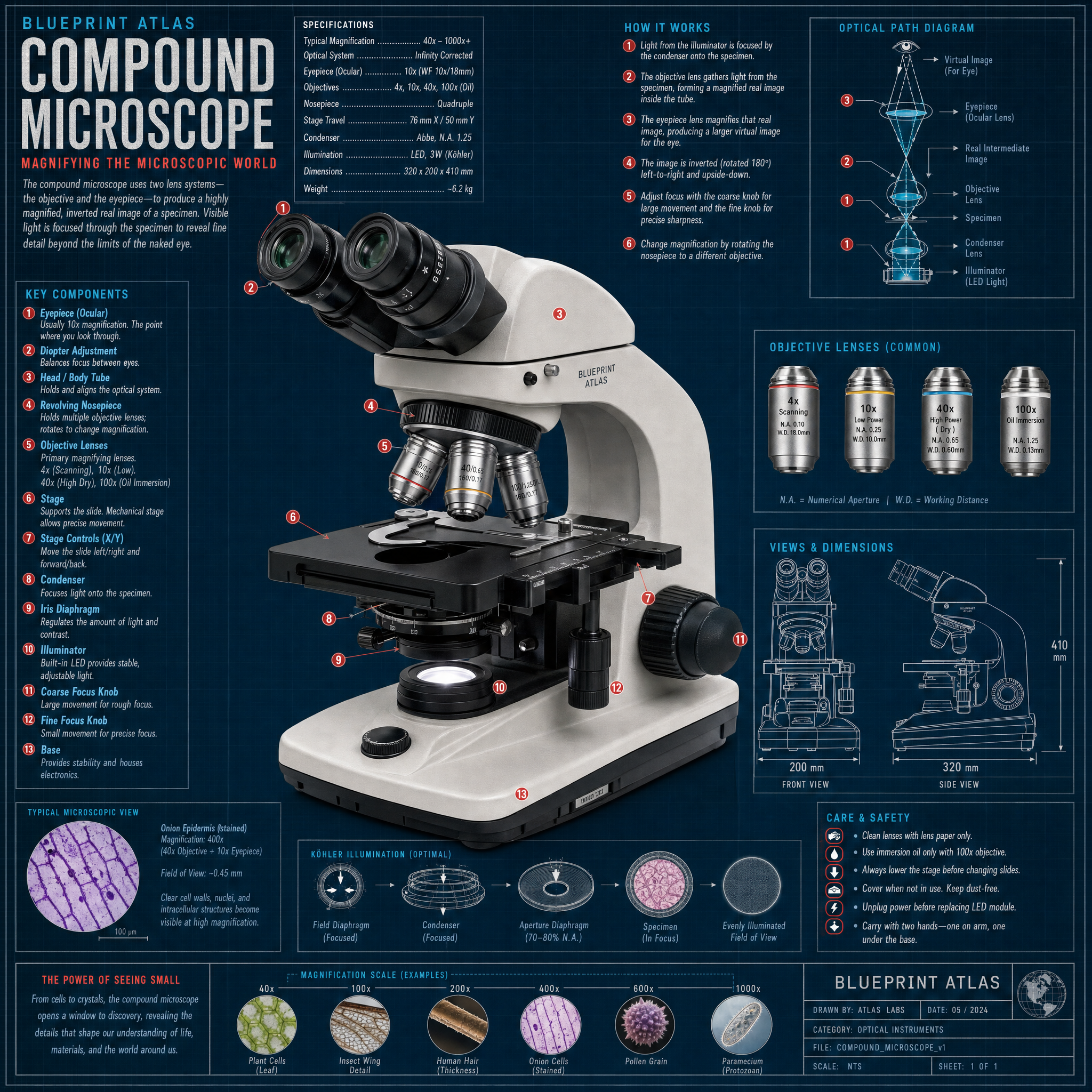 Compound Microscope